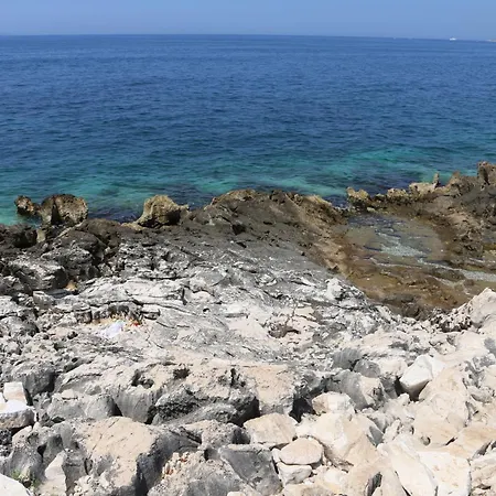 White - Sarandë